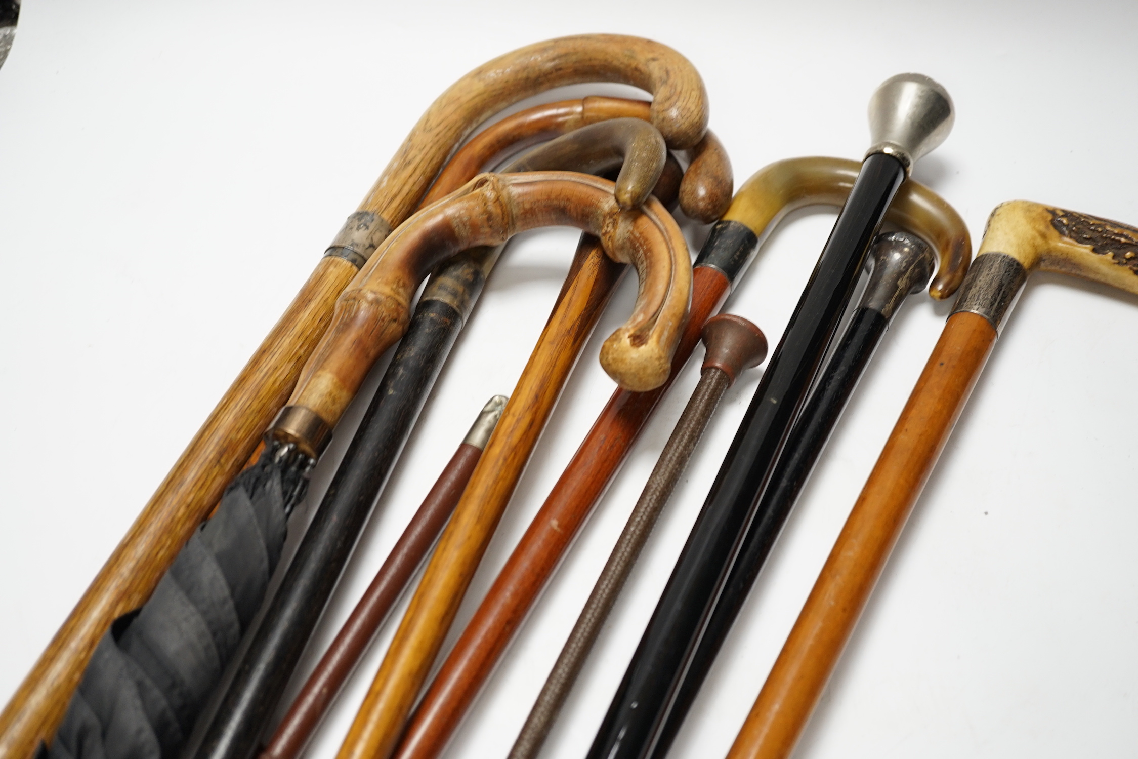 Eleven walking sticks, canes and riding crops, three with horn handles, longest 89cm